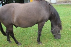 07