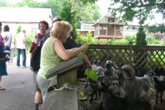 zoo5