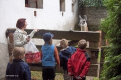 zoo6