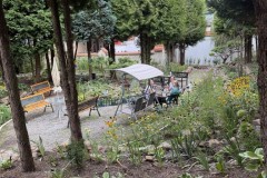 IMG_6451