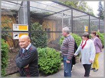 DPS Wi�ckowice - Wycieczka Zoo