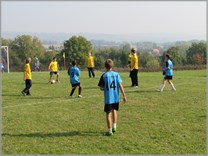 DPS Wi�ckowice