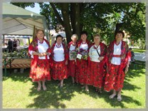 DPS Wi�ckowice