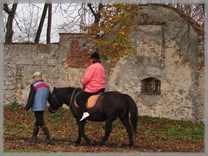 DPS Wi�ckowice