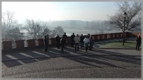 DPS Wi�ckowice