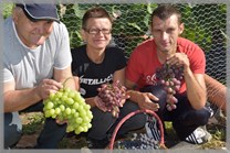 DPS Wi�ckowice