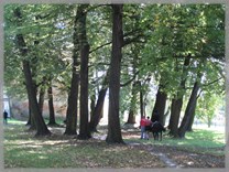 DPS Wi�ckowice