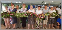 DPS Wi�ckowice