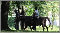 DPS Wi�ckowice