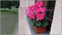 DPS Wi�ckowice
