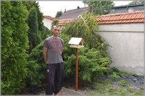 DPS Wi�ckowice